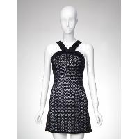 Lace Woven Dress